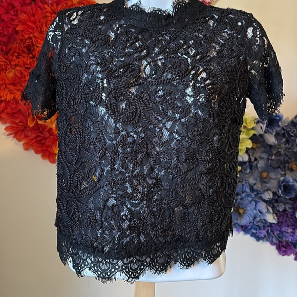 ZARA Floral Lace Black Short Sleeve Top - Picture 7 of 16